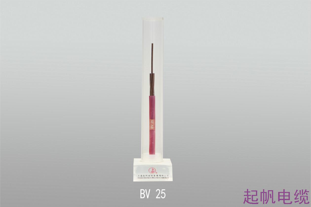 聚氯乙烯絕緣電線BV 25 聚氯乙烯絕緣電線BV 25